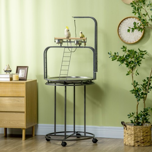 Parrot stand large bird perch - parrot,