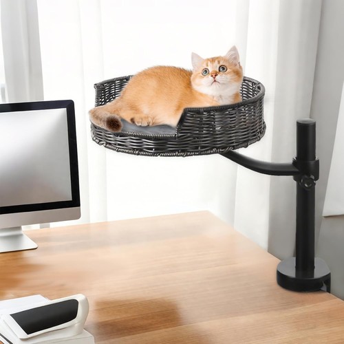 Indoor elevated cat - elevated, desk
