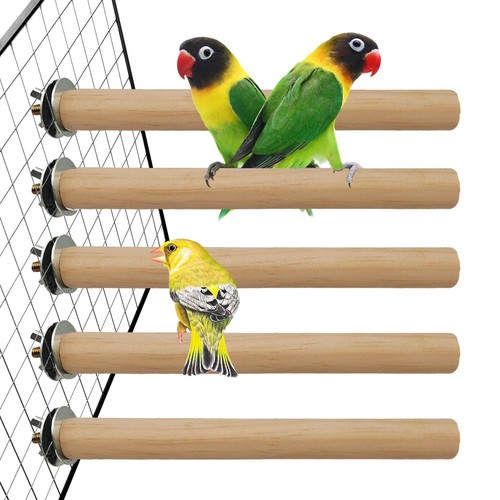 Hamiledyi bird perch for - bird,