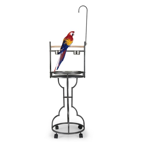 Parrot perch playstand - 72",