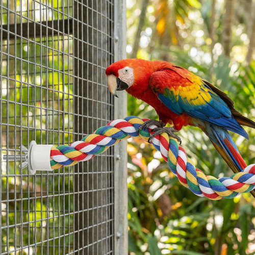 Bird perch inch - bird,